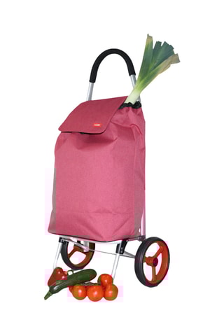 Chariot de course - Rose