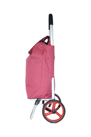 Chariot de course - Rose