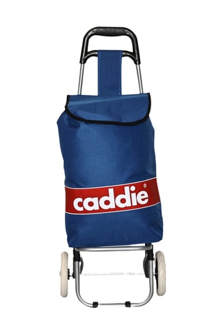 Chariot de course - Bleu