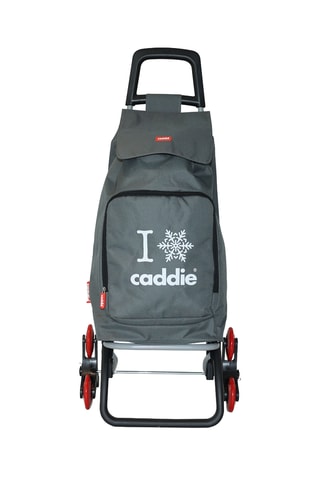 Chariot de course - Anthracite