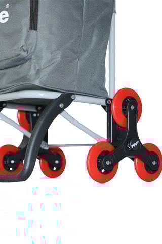 Chariot de course - Anthracite