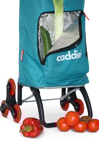 Chariot de course - Bleu turquoise