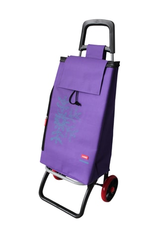 Chariot de course - Violet