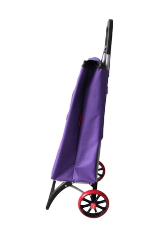 Chariot de course - Violet