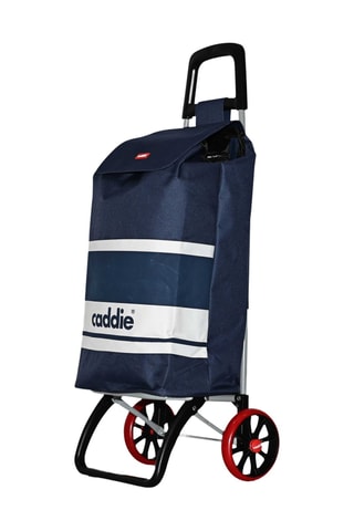 Chariot de course - Bleu