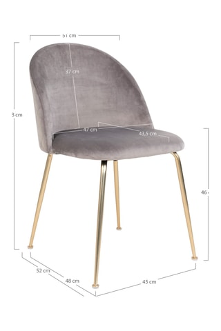 2 chaises Geneve - 51 x 76 x 56 cm