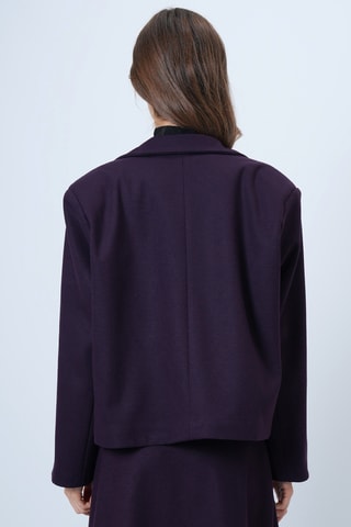 Veste - Violet foncé