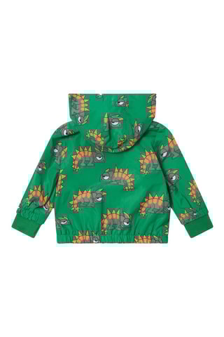 Windjack met Capuchon - Groen