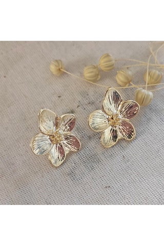 Oorbellen Goudkleurig