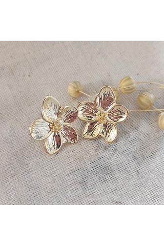 Oorbellen Goudkleurig