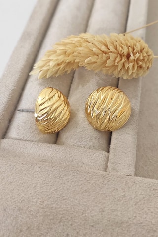 Oorbellen Goudkleurig