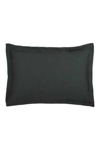 2 fundas de almohada de satén de algodón 80 hilos/cm² Uni 1 Baratta - Antracita - 50 x 70 cm