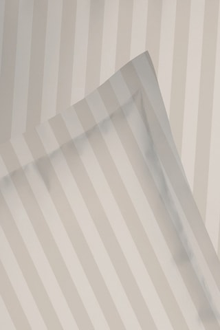 Juego de sábanas de satén de algodón 80 hilos/cm² - Topo