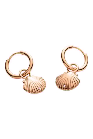 Oorbellen Scallop - Roségoudkleurig