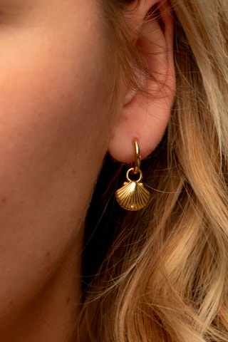 Oorbellen Scallop - Goudkleurig