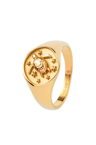 Ring Turtle - Goudkleurig