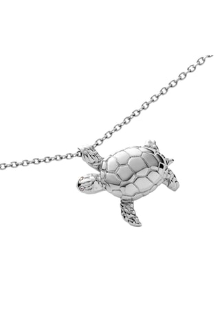 Ketting Turtle - Zilverkleurig