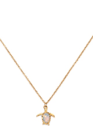 Ketting Turtle - Goudkleurig