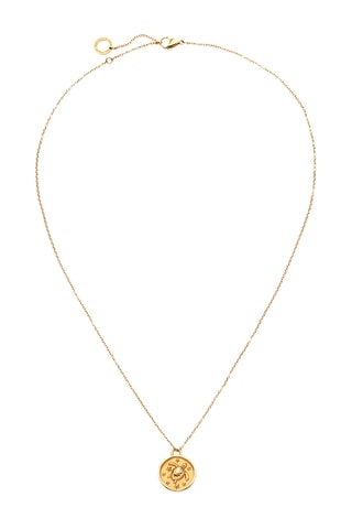 Ketting Turtle - Goudkleurig