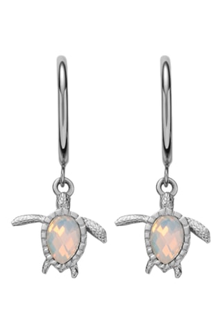 Creolen Turtle - Zilverkleurig