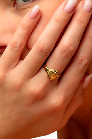 Ring Scallop - Goudkleurig