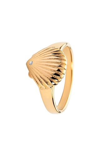 Ring Scallop - Goudkleurig