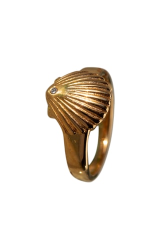 Ring Scallop - Goudkleurig