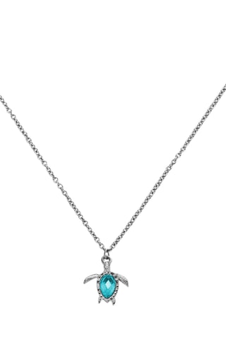 Ketting Turtle - Zilverkleurig en Turquoise