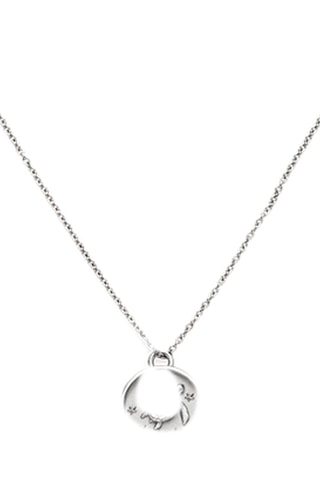 Ketting Turtle - Zilverkleurig