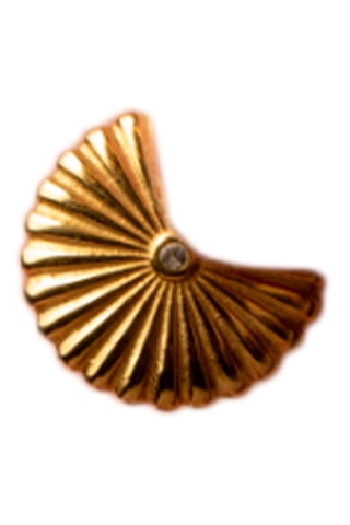 Oorbellen Scallop - Goudkleurig