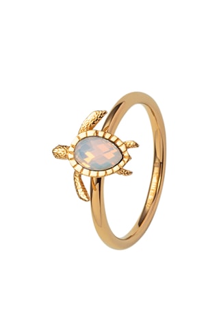 Ring Turtle - Goudkleurig