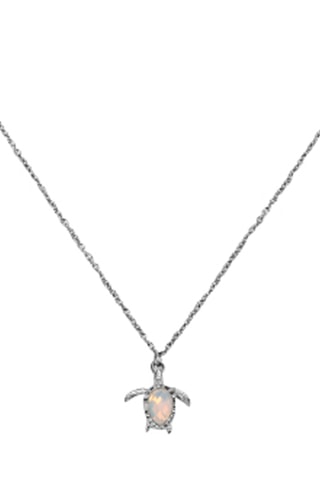 Ketting Turtle - Zilverkleurig