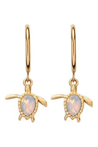 Creolen Turtle - Goudkleurig