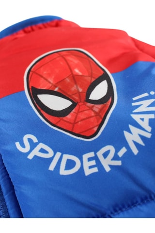 Gewatteerde Jas Spider-Man Avengers Marvel - Blauw