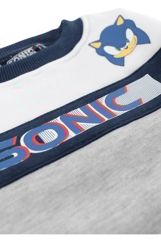 Sweater Sonic  - Grijs