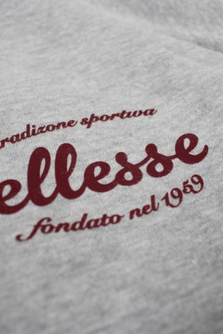 Sweater met Capuchon  Ellesse - Grijs