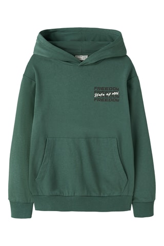 Sweat com capuz em algodão biológico - Verde - Name It