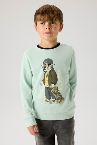 Sweat em algodão biológico - Verde - Name It