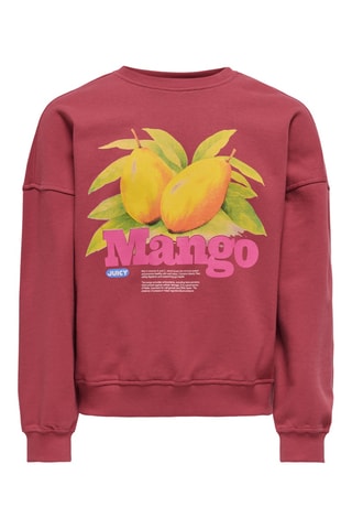 Sweat em algodão biológico - Bordô - Kids Only Girl