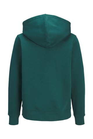 Sweat em algodão biológico - Verde-escuro - Jack & Jones
