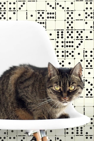 Behangpapier - 200 x 280 cm