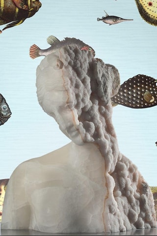 Behangpapier - 200 x 280 cm