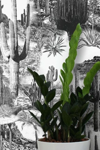 Papier peint - 400 x 280 cm