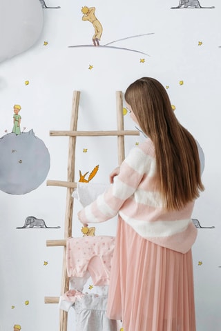 Papier peint Le Petit Prince -  400 x 280 cm