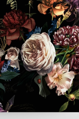 Behangpapier -  400 x 280 cm