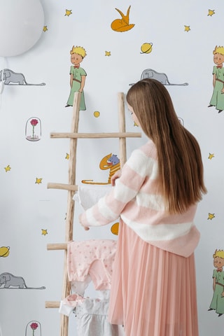 Papier peint Le Petit Prince - 200 x 280 cm