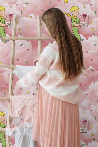 Papier peint Le Petit Prince - 200 x 280 cm