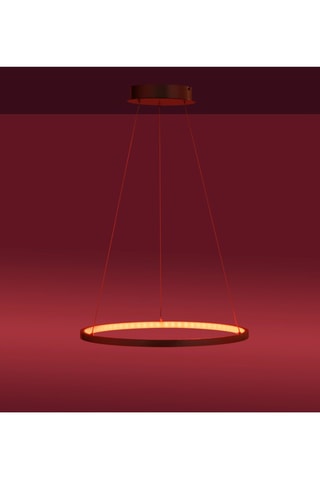 Ledhanglamp Ls-Circle - Zilverkleurig - 25 W