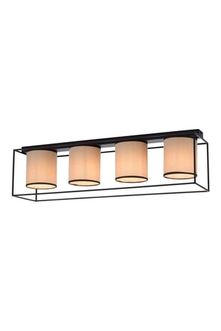 Plafondlamp Raven - Zwart - 4 x 25 W