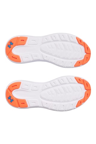 Chaussures de course - Bleu canard